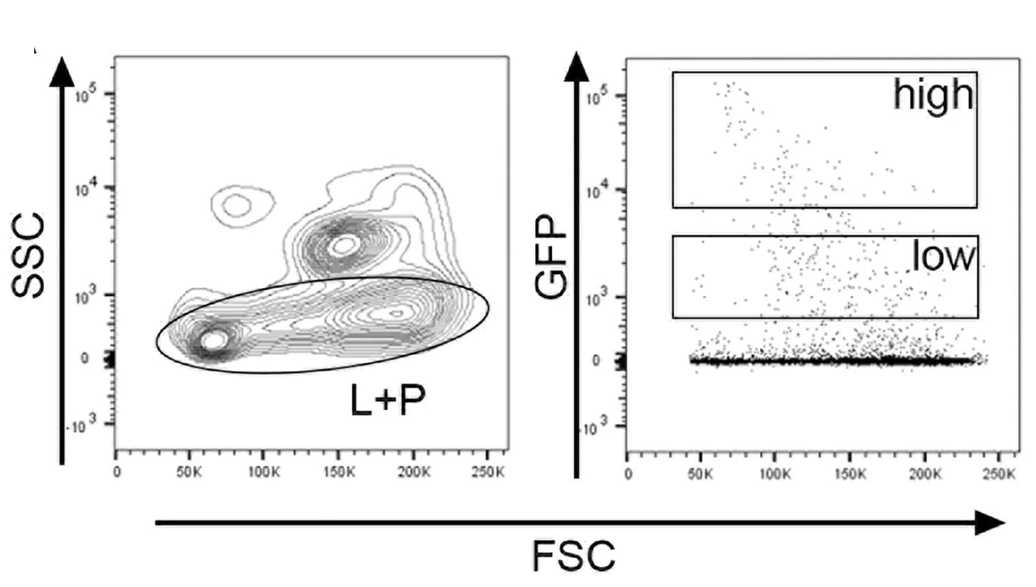 Open access visualization of Scatter Plot, Density Plot, FACS, Gating Strategy, HSPCs