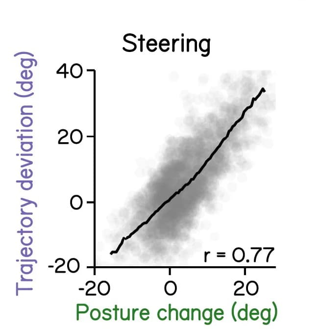 Open access visualization of Scatter Plot, Regression Plot, Trajectory Deviation, Posture Change, Peak Speed