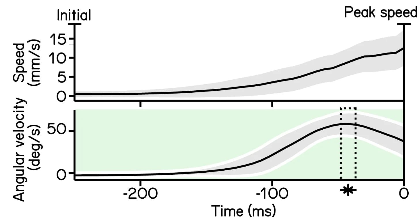 Open access visualization of Line Plot, Error Bars, Swim Speed, Angular Velocity, Steering