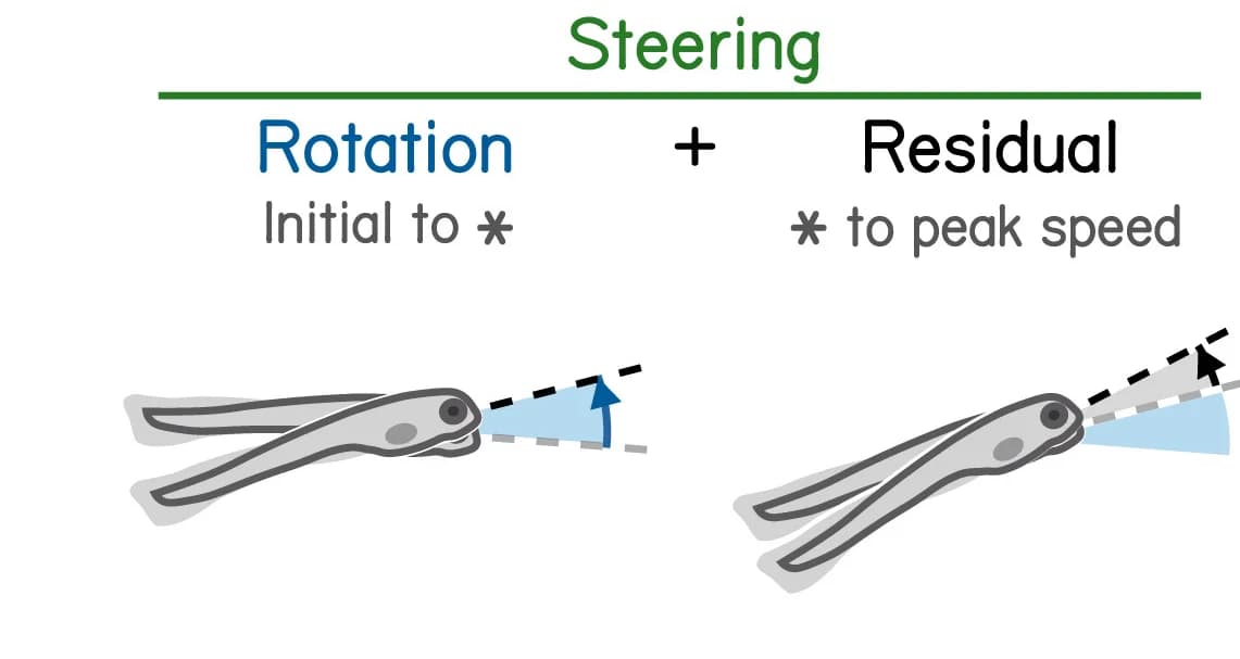 Open access visualization of Illustration, Trajectory Deviation, Larvae, Body Rotation, Attack Angle
