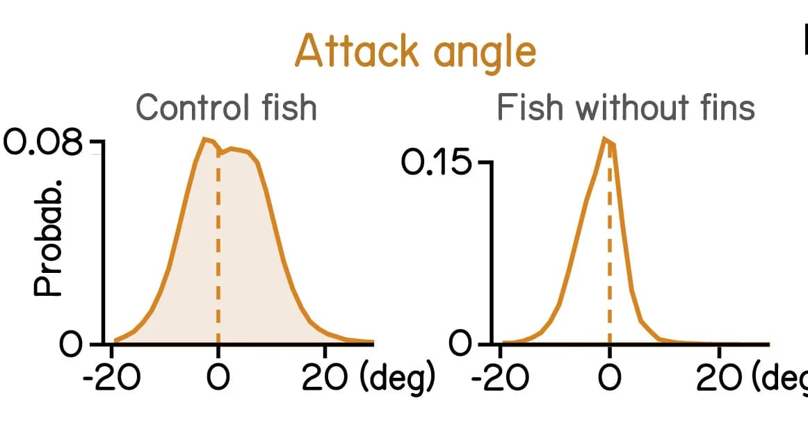 Open access visualization of Line Plot, Density Plot, Attack Angle, Control Fish, Fin Amputation