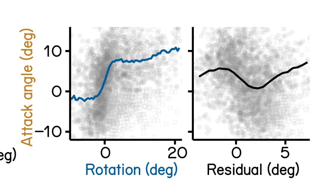 Open access visualization of Scatter Plot, Line Plot, Attack Angle, Body Rotation, Residual Rotation