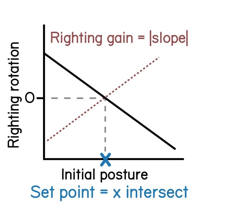 Open access visualization of Line Plot, Line Step, Righting Gain, Slope, Fitted Line