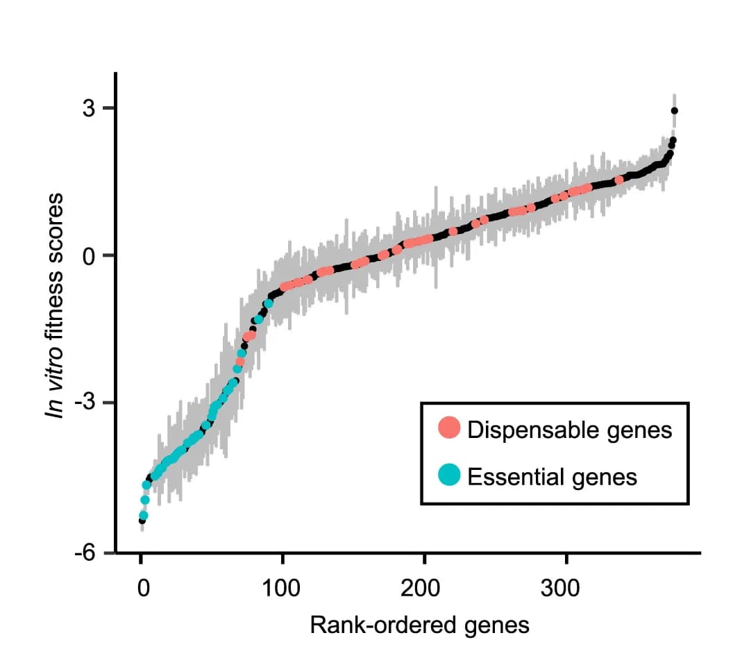 Open access visualization of Scatter Plot, In vitro, Fitness scores, Essential Genes, Control Genes