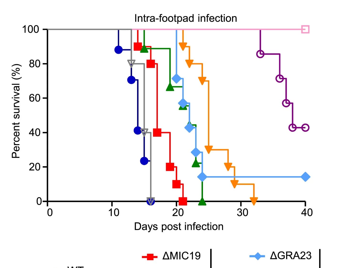 Open access visualization of Survival Curve, Line Step, Line Plot, Survival Curves, Mice