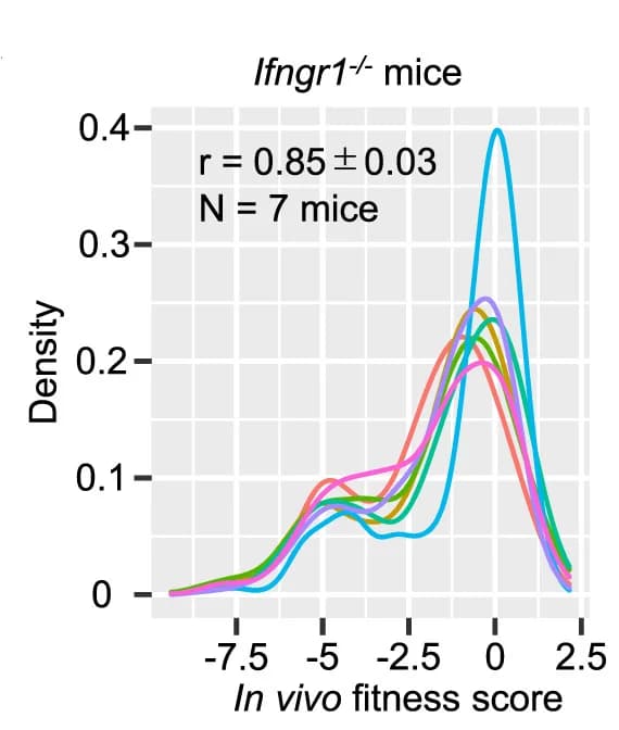 Open access visualization of Density Plot, Line Plot, In Vivo, Fitness Scores, Ifngr1-/- Mouse