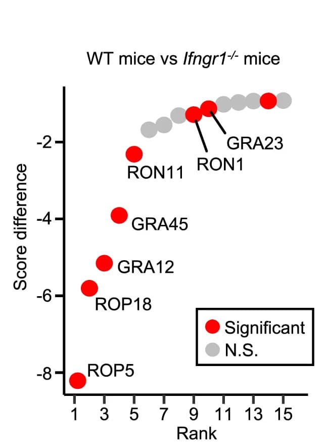 Open access visualization of Scatter Plot, Fitness Scores, WT Mice, Ifngr1-/- Mice, In Vitro