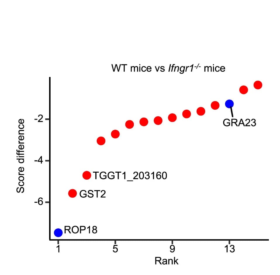 Open access visualization of Scatter Plot, Fitness Scores, WT Mice, Genes