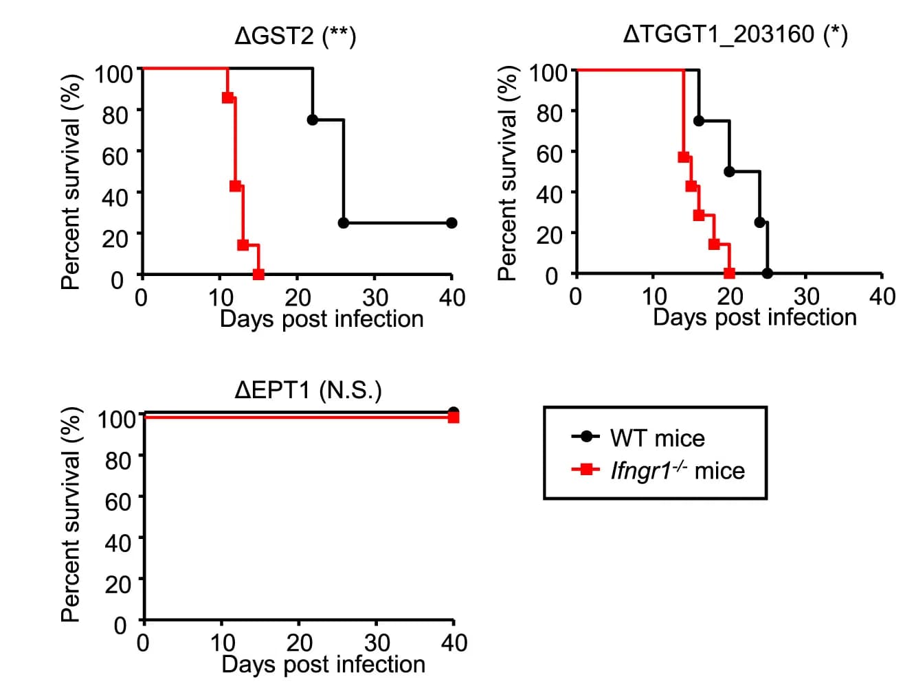 Open access visualization of Survival Curve, Line Plot, Line Step, Survival Curves, WT Mice