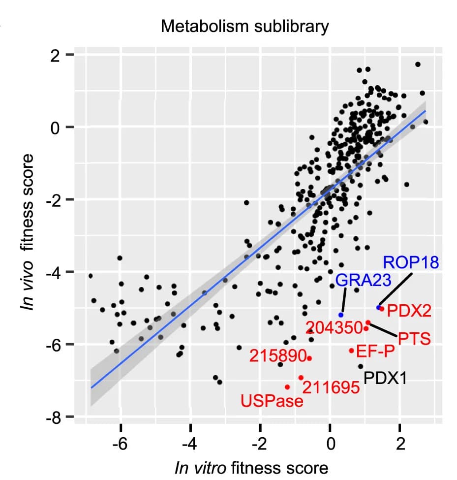 Open access visualization of Scatter Plot, Regression Plot, Scatterplot, In Vitro, In Vivo