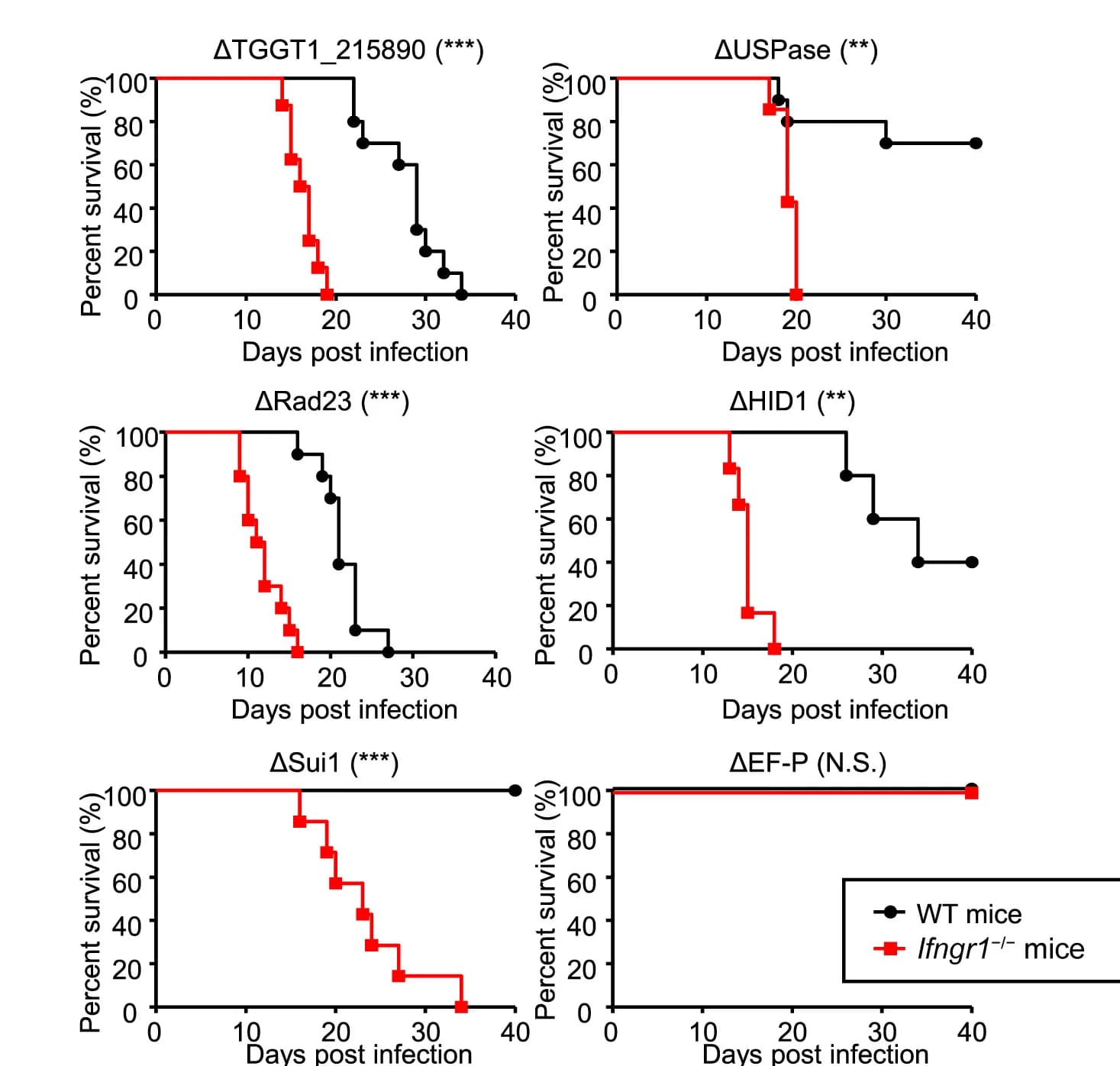 Open access visualization of Survival Curve, Line Plot, Line Step, Survival Curves, WT Mice