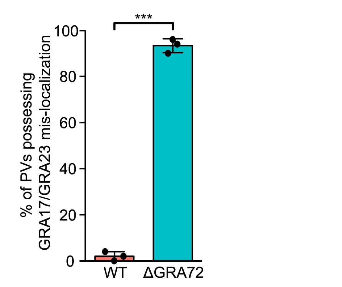 Open access visualization of Bar Plot, Error Bars, GRA17 Localization, GRA23 Localization, PV