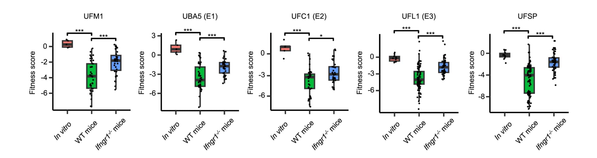 Open access visualization of Box Plot, Scatter Plot, Fitness scores, UFMylation-related genes, Vero cells