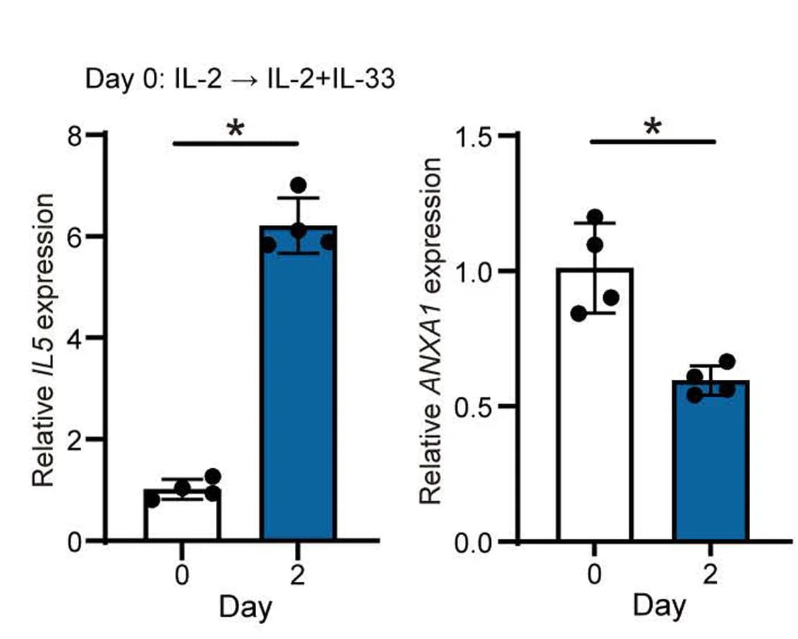 Open access visualization of Bar Plot, Error Bars, IL5 Expression, ANXA1 Expression, IL-2-cultured Human ILC2s