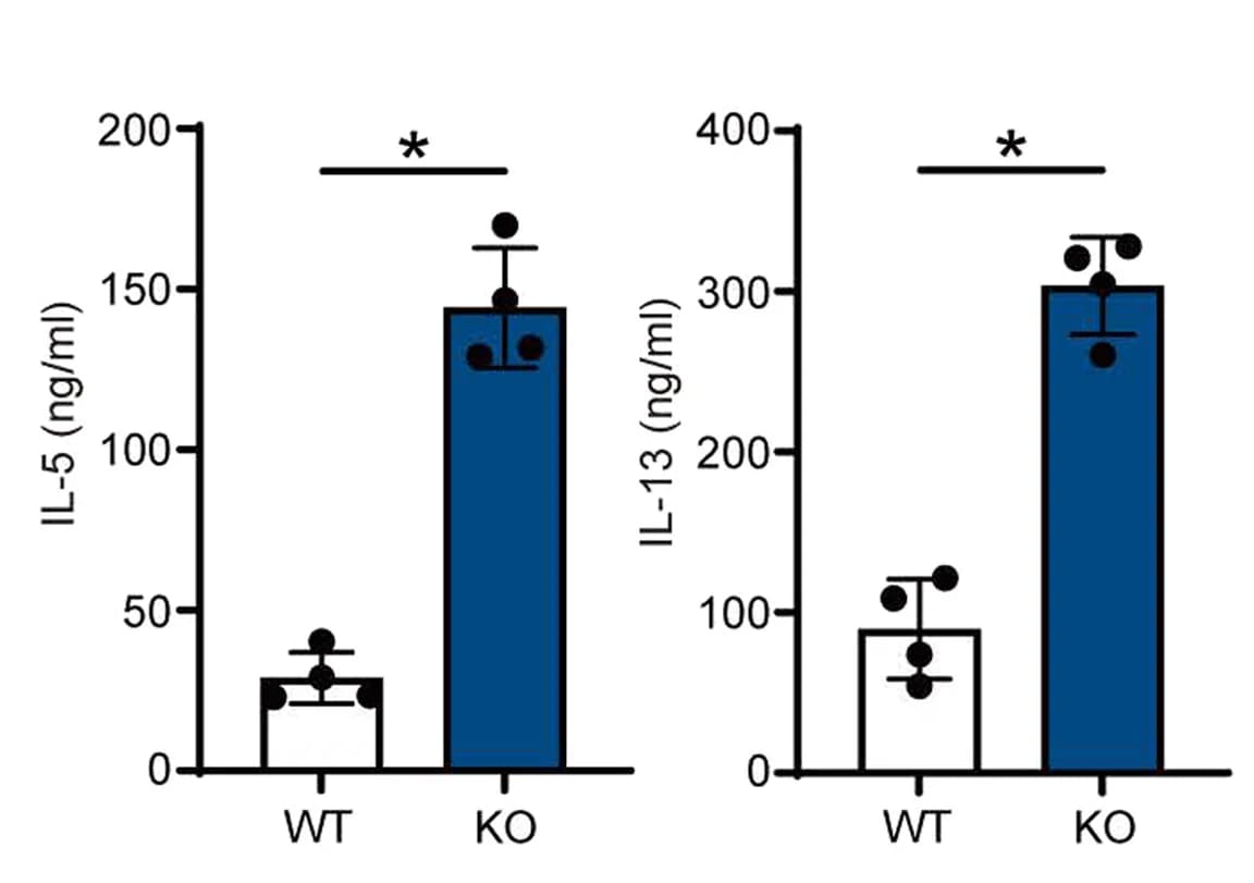 Open access visualization of Bar Plot, Error Bars, IL-5, IL-13, Cell Culture