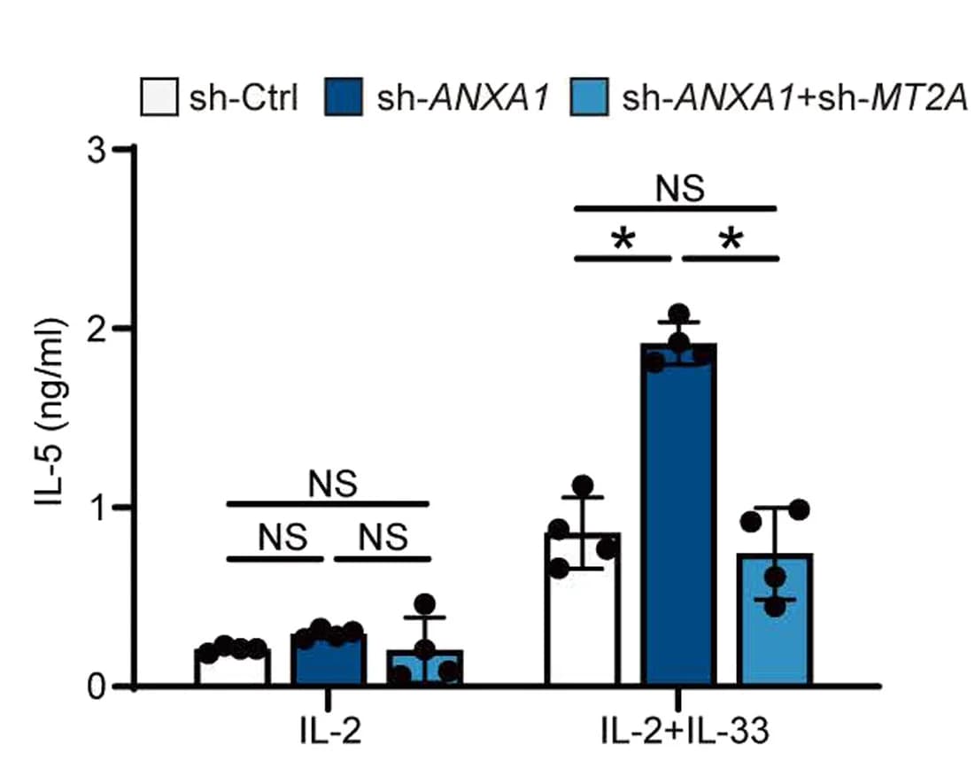 Open access visualization of Bar Plot, Error Bars, Human ILC2s, sh-Ctrl, sh-ANXA1