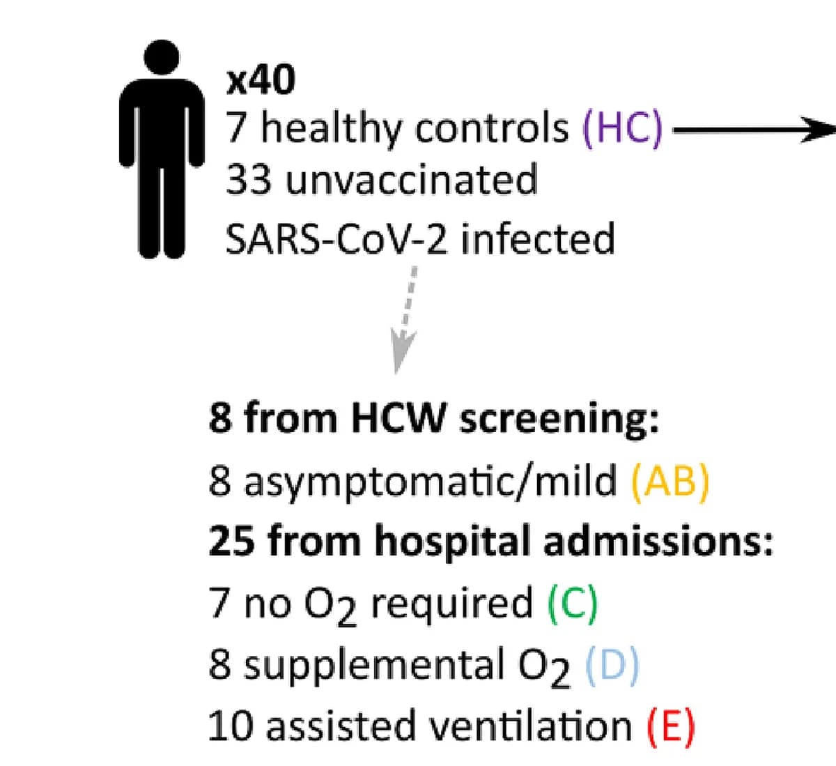 Open access visualization of Workflow, Flowchart, Study Participants