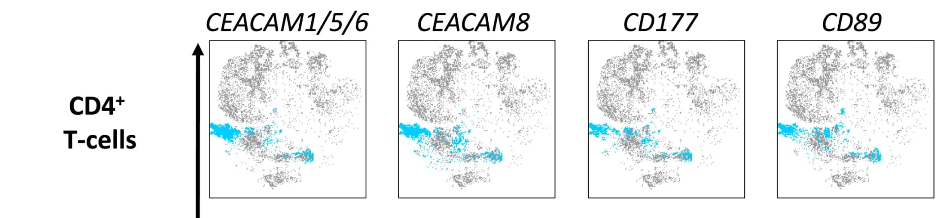 Open access visualization of Scatter Plot, UMAP, CD4+T Cells, tSNE