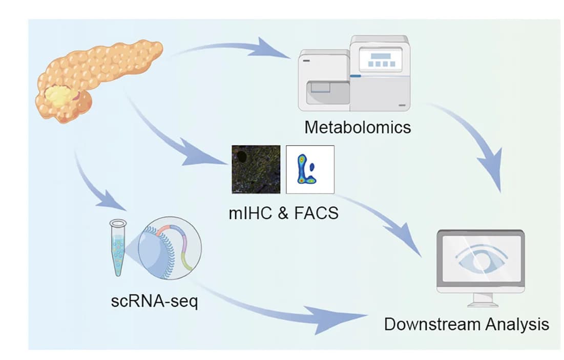 Open access visualization of Workflow, Illustration, scRNA-seq, mIHC, FACS