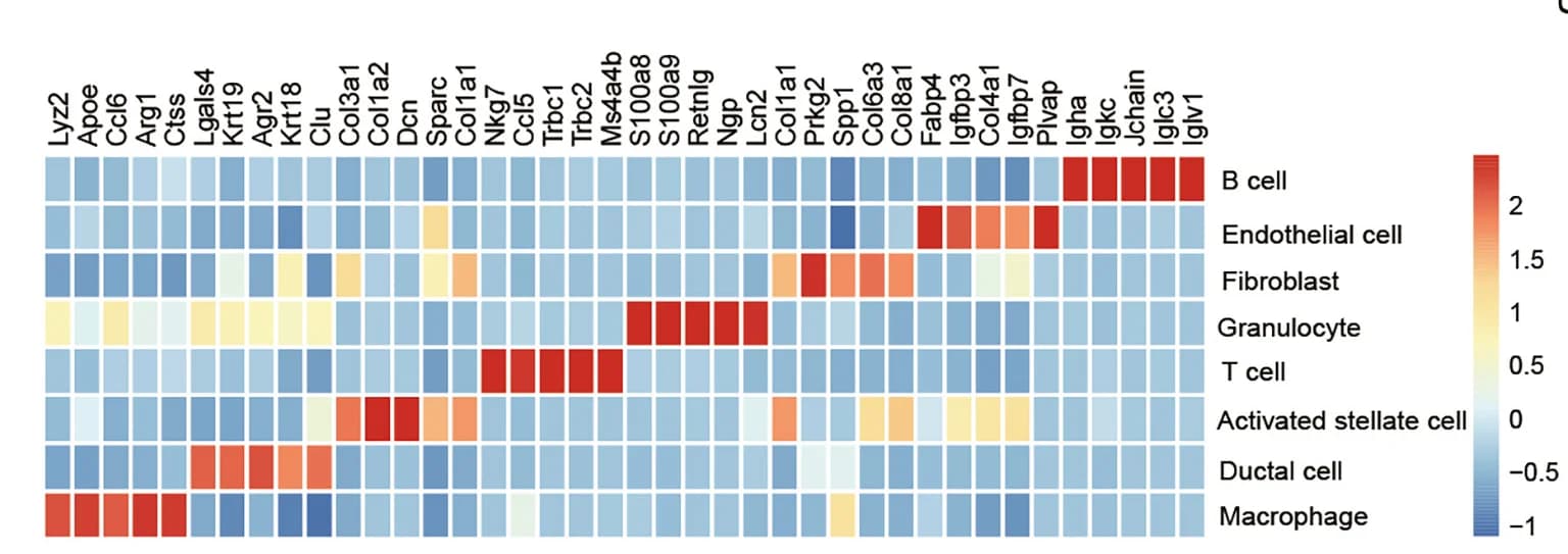 Open access visualization of Heatmap, Genes, Cell Populations, Tumor Tissues, Chemotherapy
