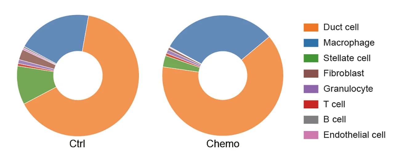 Open access visualization of Donut Chart, Cell Population Proportion, Tumor Tissue, Chemotherapy, Mouse Model