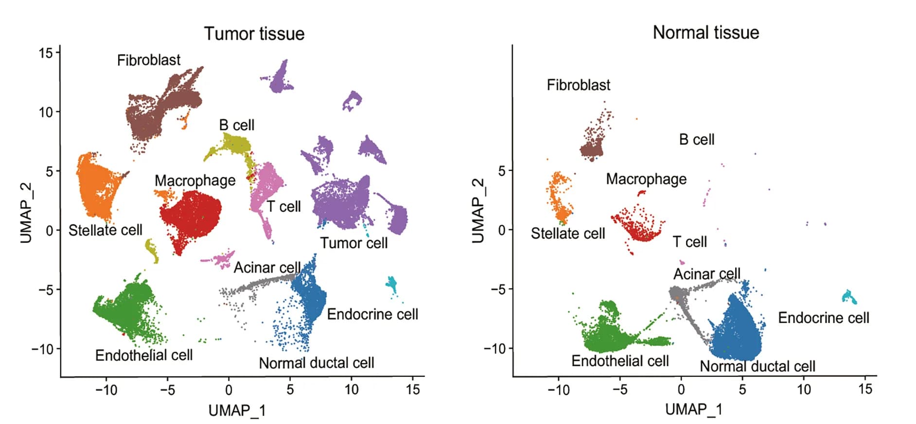 Open access visualization of UMAP, UMAP Map, Cell Populations, Pancreatic Cancer, Tumor Tissues
