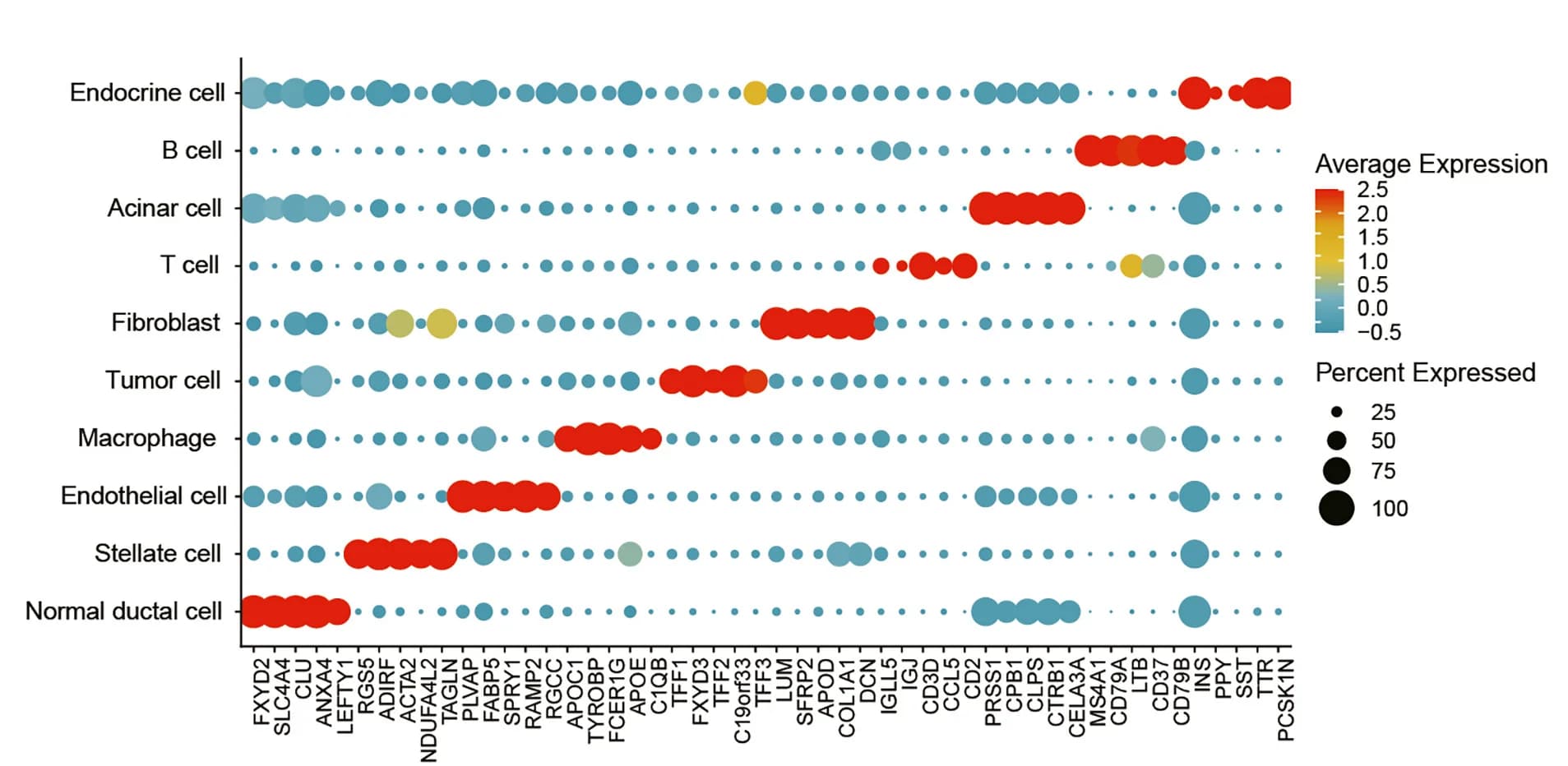 Open access visualization of Bubble Plot, Bubble Chart, Gene Expression, Cell Groups, Pancreatic Cancer
