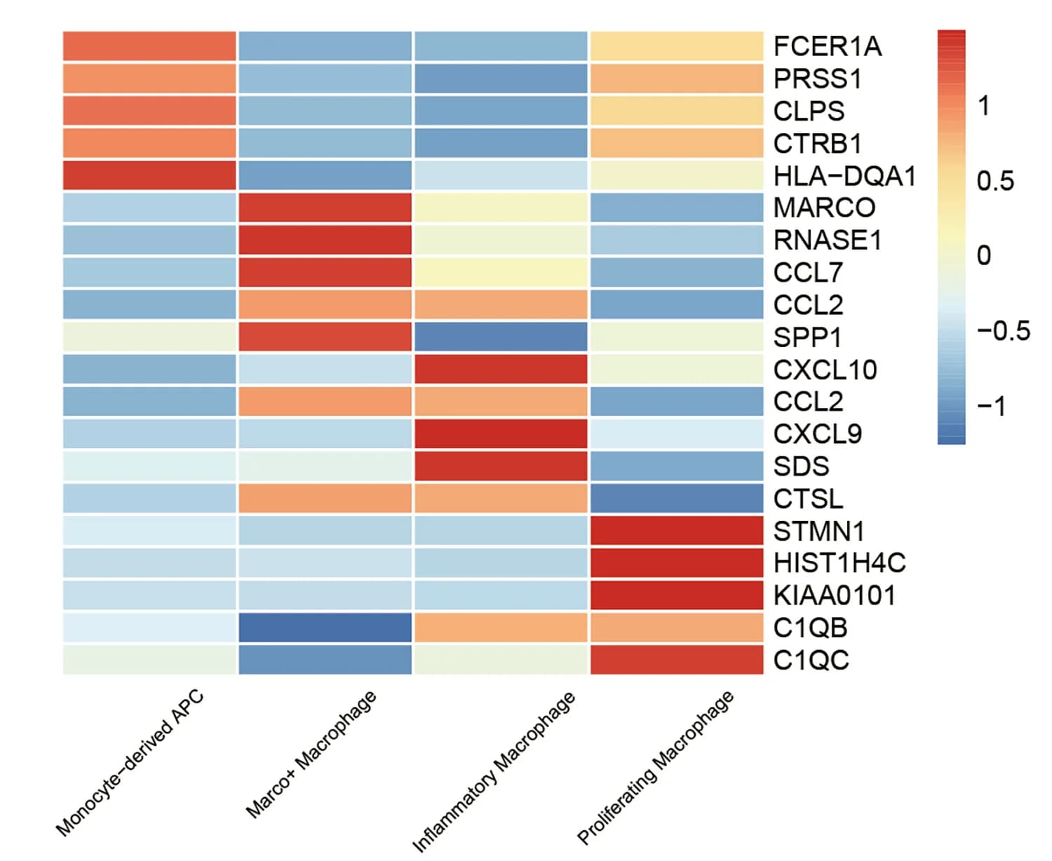 Open access visualization of Heatmap, Characteristic Genes, Macrophage Subsets, Humans