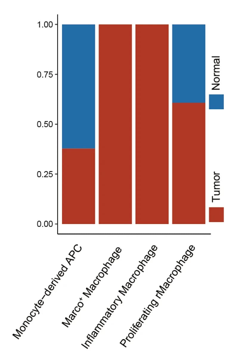 Open access visualization of Stacked Bar Plot, Macrophage Subsets, Pancreatic Cancer, Tumor Tissue, Normal Tissue