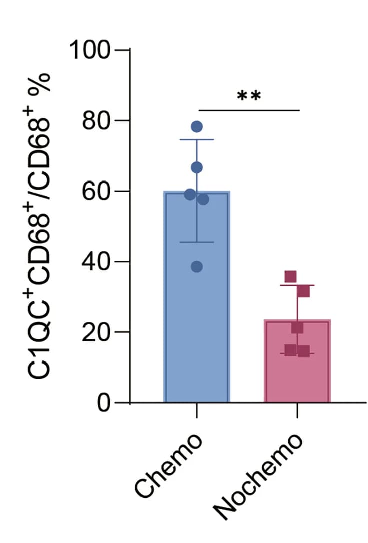 Open access visualization of Bar Plot, Error Bars, Statistical Chart, C1QC+CD68+, CD68+