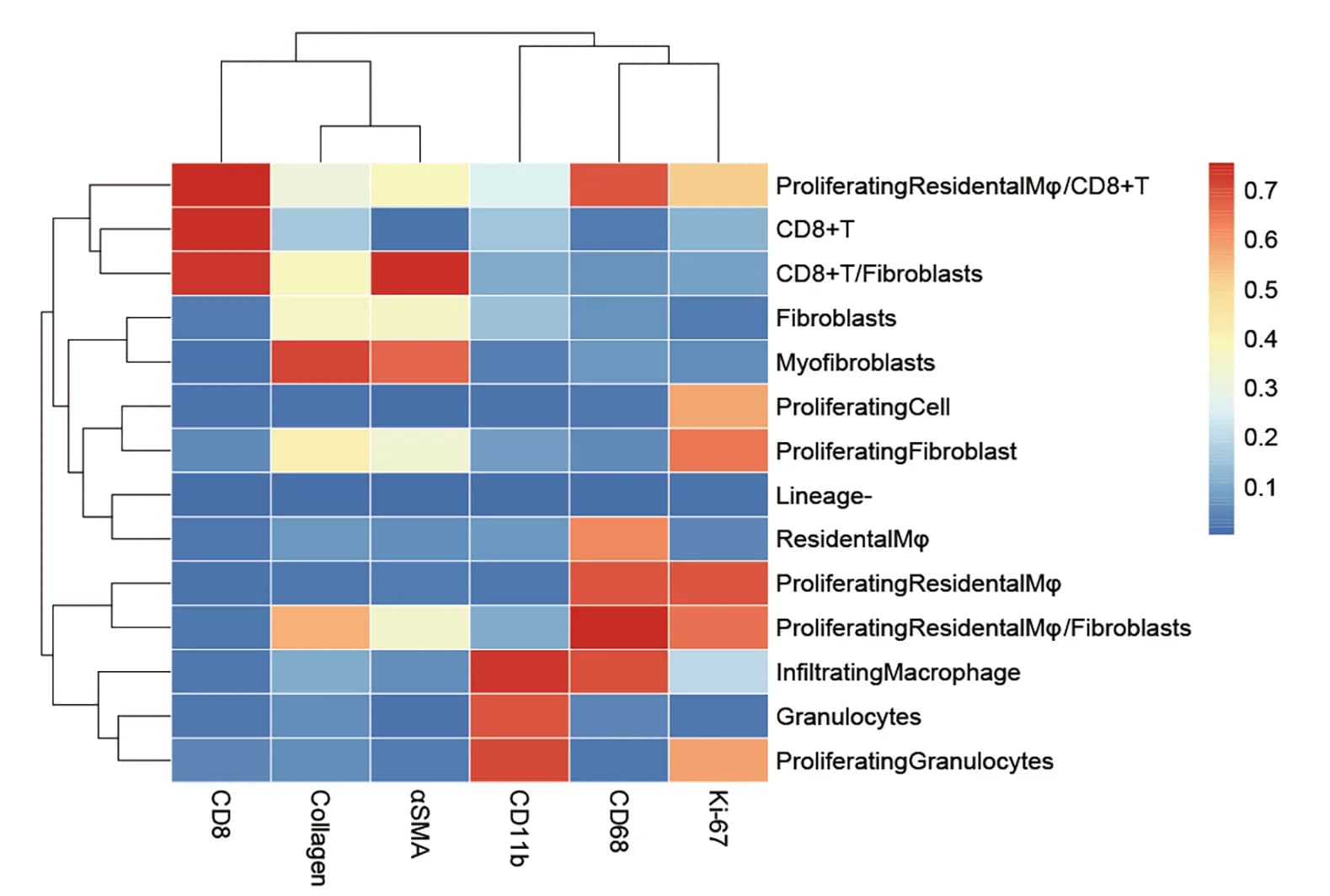 Open access visualization of Heatmap, Clustered, Marker Expression, Clusters
