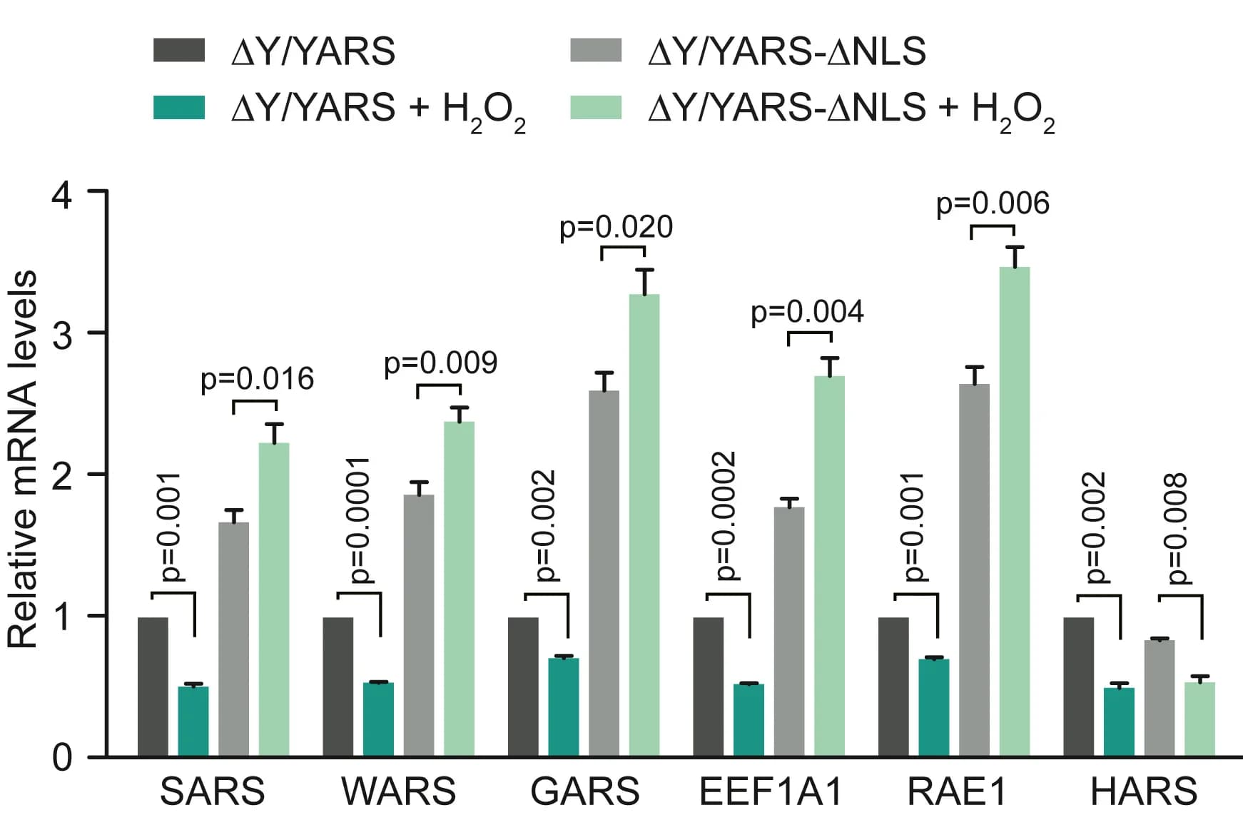 Open access visualization of Bar Plot, Error Bars, Clustered, TyrRS nuclear localization, Transcription promotion
