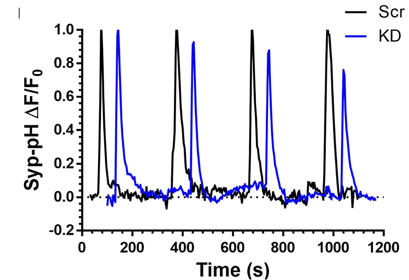 Open access visualization of Line Plot, syp-pH response, Primary Cultures, CGNs