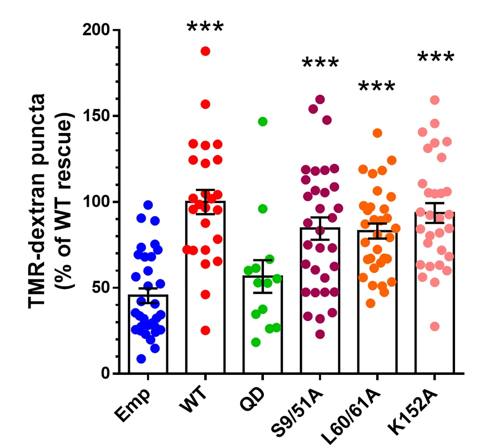 Open access visualization of Bar Plot, Error Bars, Scatter Plot, TMR-dextran, CGNs
