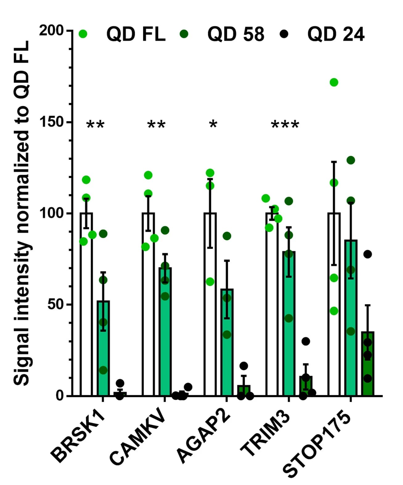 Open access visualization of Bar Plot, Error Bars, Scatter Plot, Quantification of binding, SEM