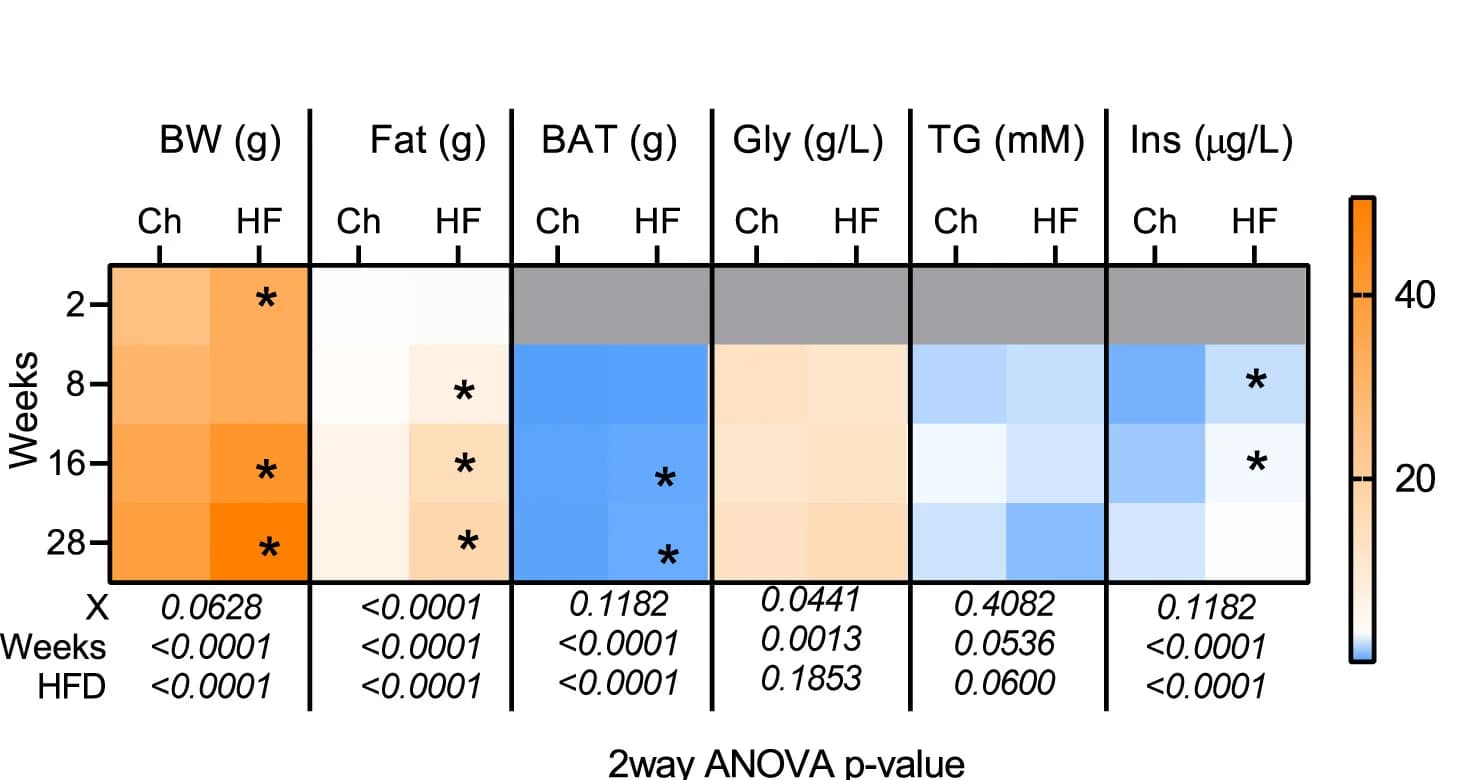 Open access visualization of Heatmap, Metabolic Parameters, Glycemia, Triglycerides, Insulinemia