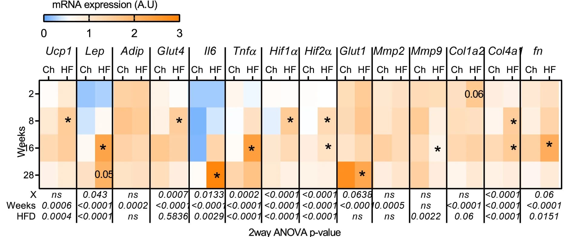 Open access visualization of Heatmap, mRNA Expression, Metabolic Marker, Fibro-inflammatory Marker, Mice