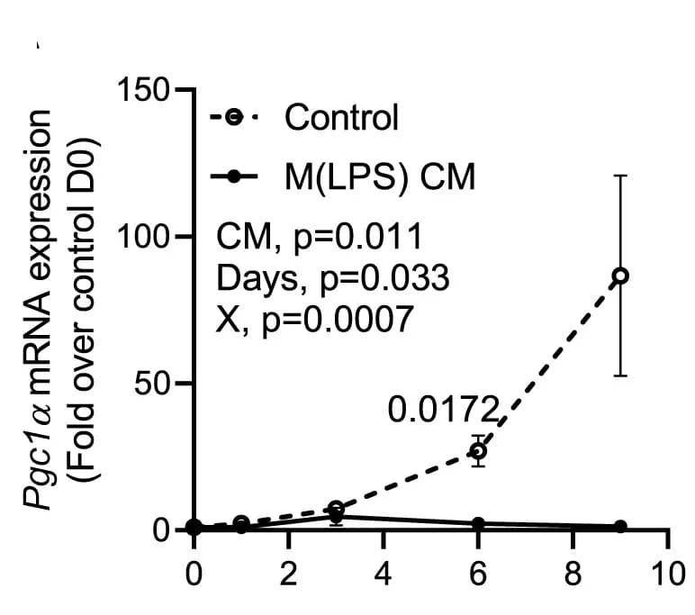 Open access visualization of Line Plot, Error Bars, mRNA expression, Adipogenic markers, Pgc1