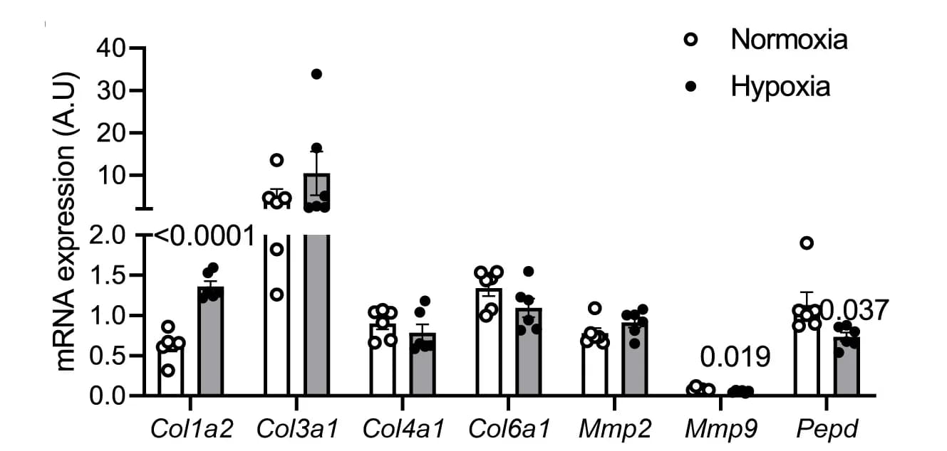 Open access visualization of Bar Plot, Error Bars, Scatter Plot, mRNA expression, Brown markers