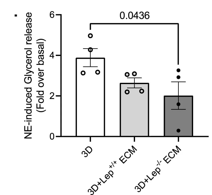 Open access visualization of Bar Plot, Error Bars, Glycerol release, Norepinephrine stimulation, pBAT cells