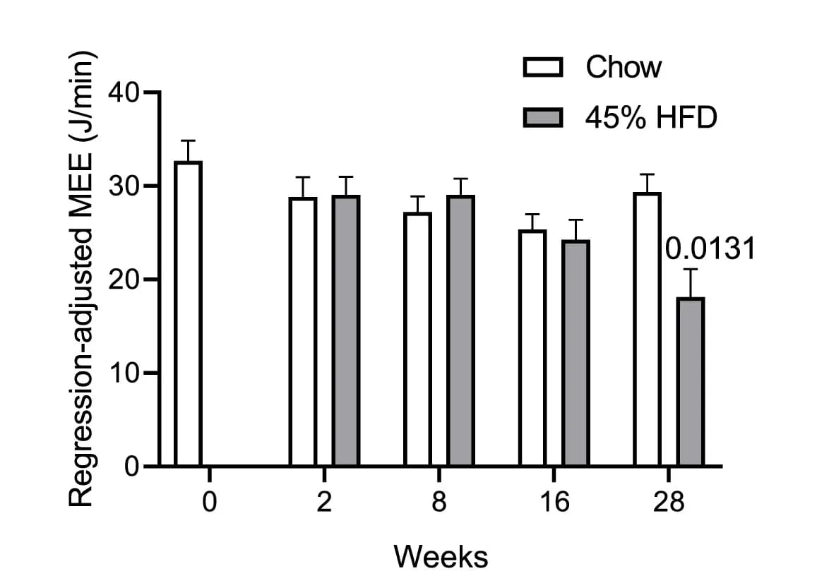 Open access visualization of Bar Plot, Clustered, Error Bars, NE-stimulated EE, C57Bl/6 Mice