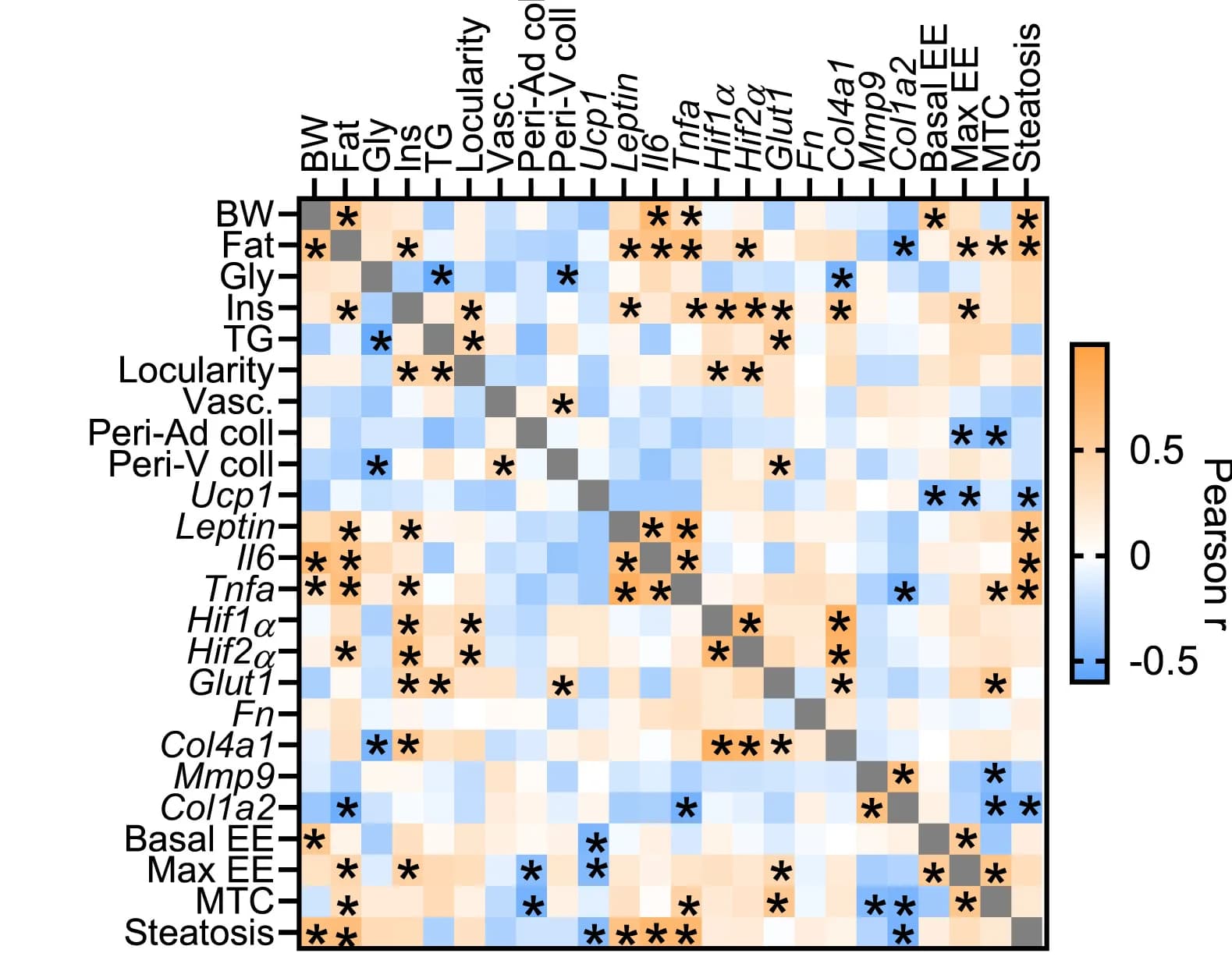 Open access visualization of Heatmap, Pearson Correlation Matrix, Brown Adipose Tissue, Extracellular Matrix, Metabolic Parameters