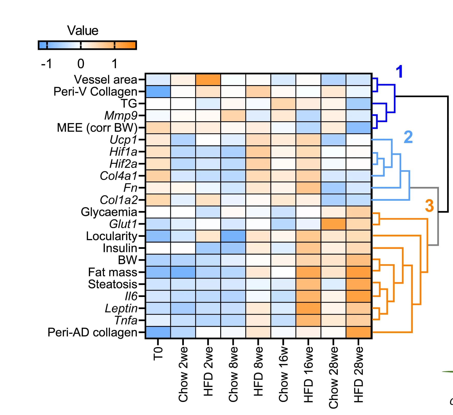 Open access visualization of Heatmap, Clustered, Metabolic Parameters, Thermogenic Parameters, Brown Adipose Tissue