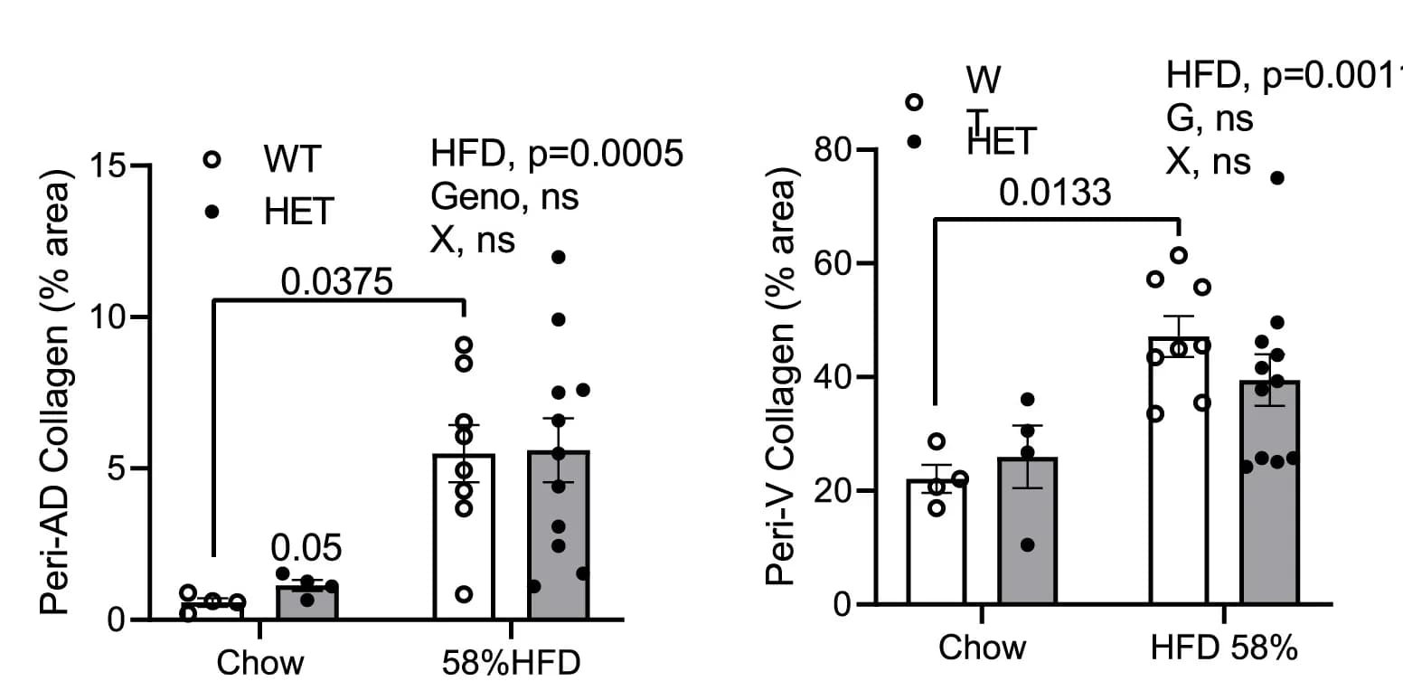 Open access visualization of Bar Plot, Error Bars, Scatter Plot, Collagen Deposition, Peri-Adipocyte