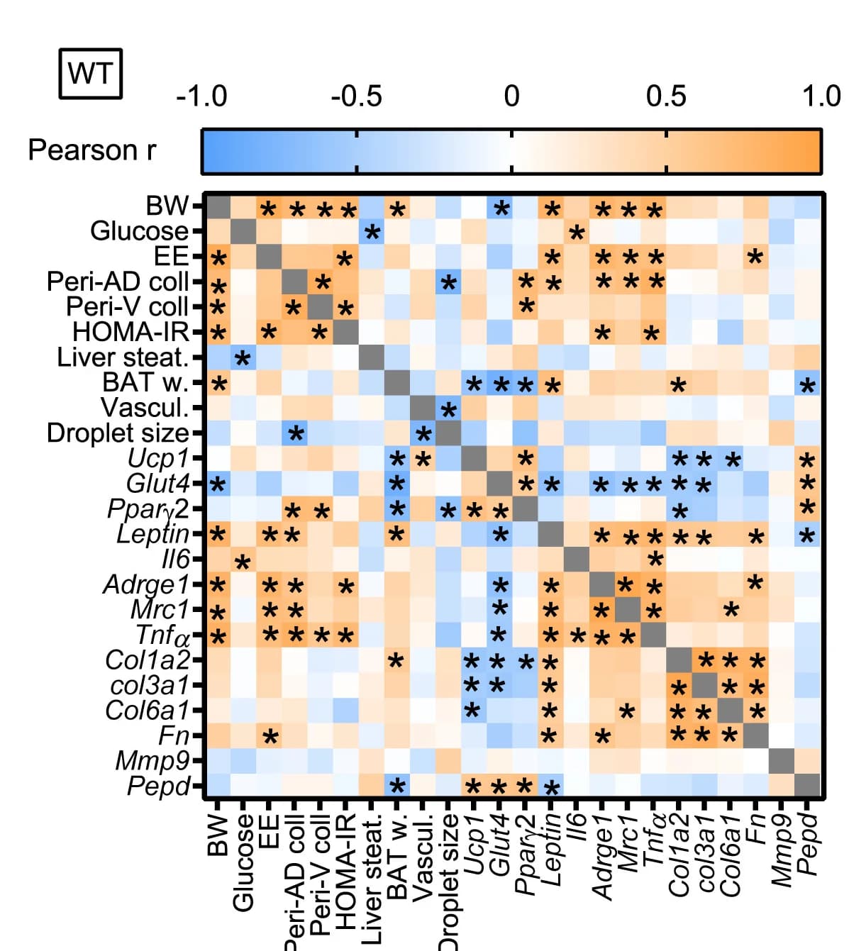 Open access visualization of Heatmap, Pearson Correlation Matrix, Brown Adipose Tissue, ECM Remodeling Markers, Metabolic Parameters
