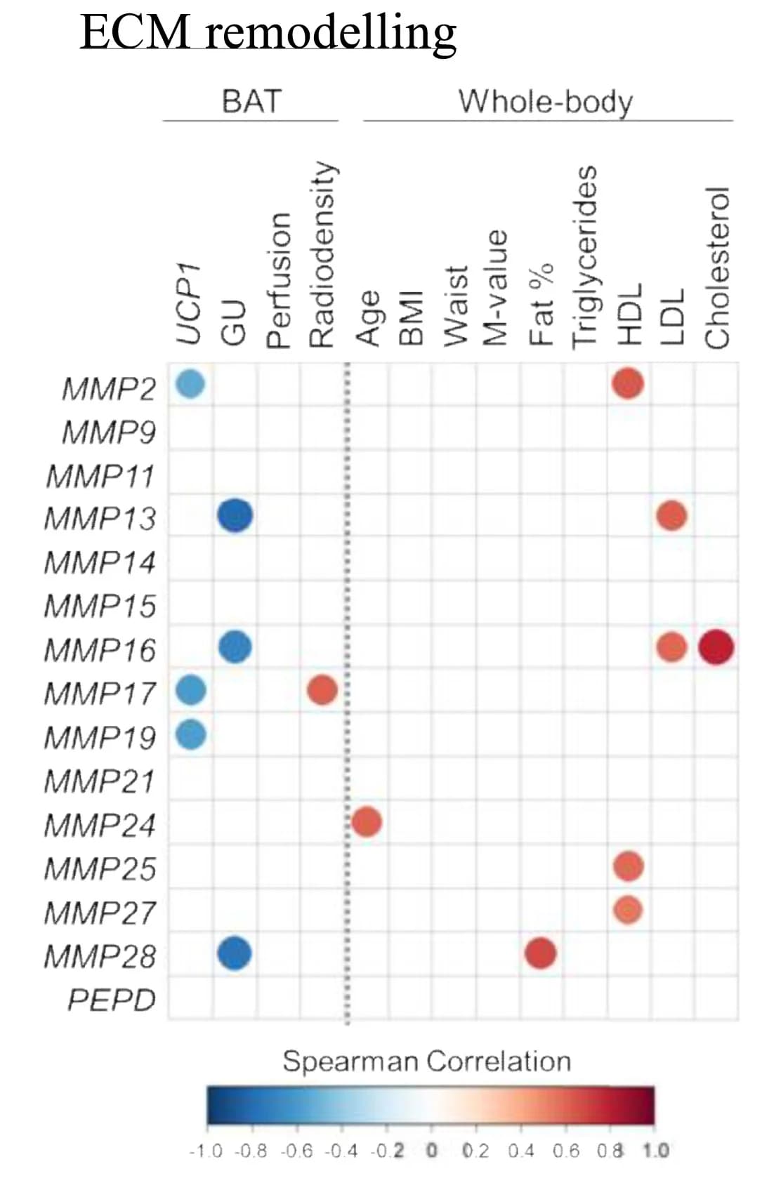 Open access visualization of Scatter Plot, ECM Remodeling, Gene Expression, Metabolic parameters, Correlation