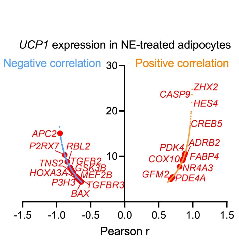 Open access visualization of Scatter Plot, Regression Plot, UCP1 Genes, Adipocytes, Volcano Plots