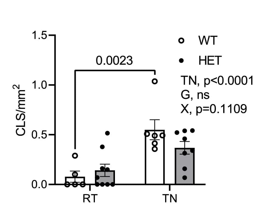 Open access visualization of Bar Plot, Error Bars, F4/80 Staining, BAT, PepdWT Mice