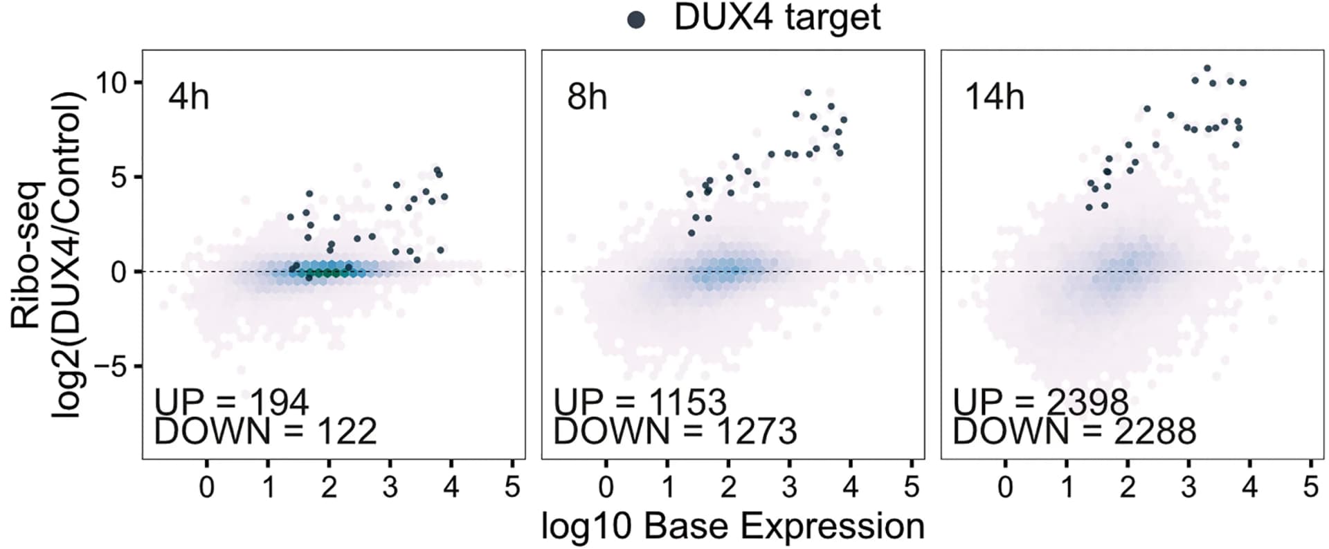 Open access visualization of Scatter Plot, Volcano Plot, M-A Plots, Ribo-seq, DUX4