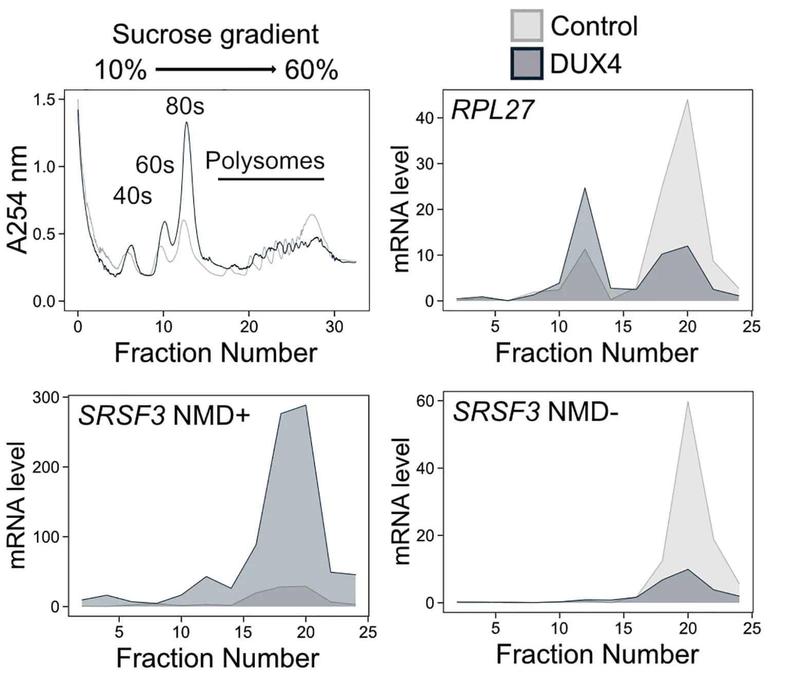 Open access visualization of Line Plot, Density Plot, Sucrose Density Gradient, Myoblasts, DUX4
